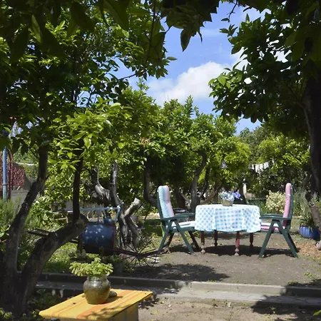 Anatra Apartment