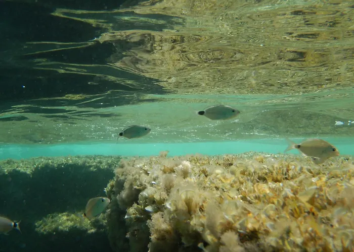 Appartamento Anatra Sorso